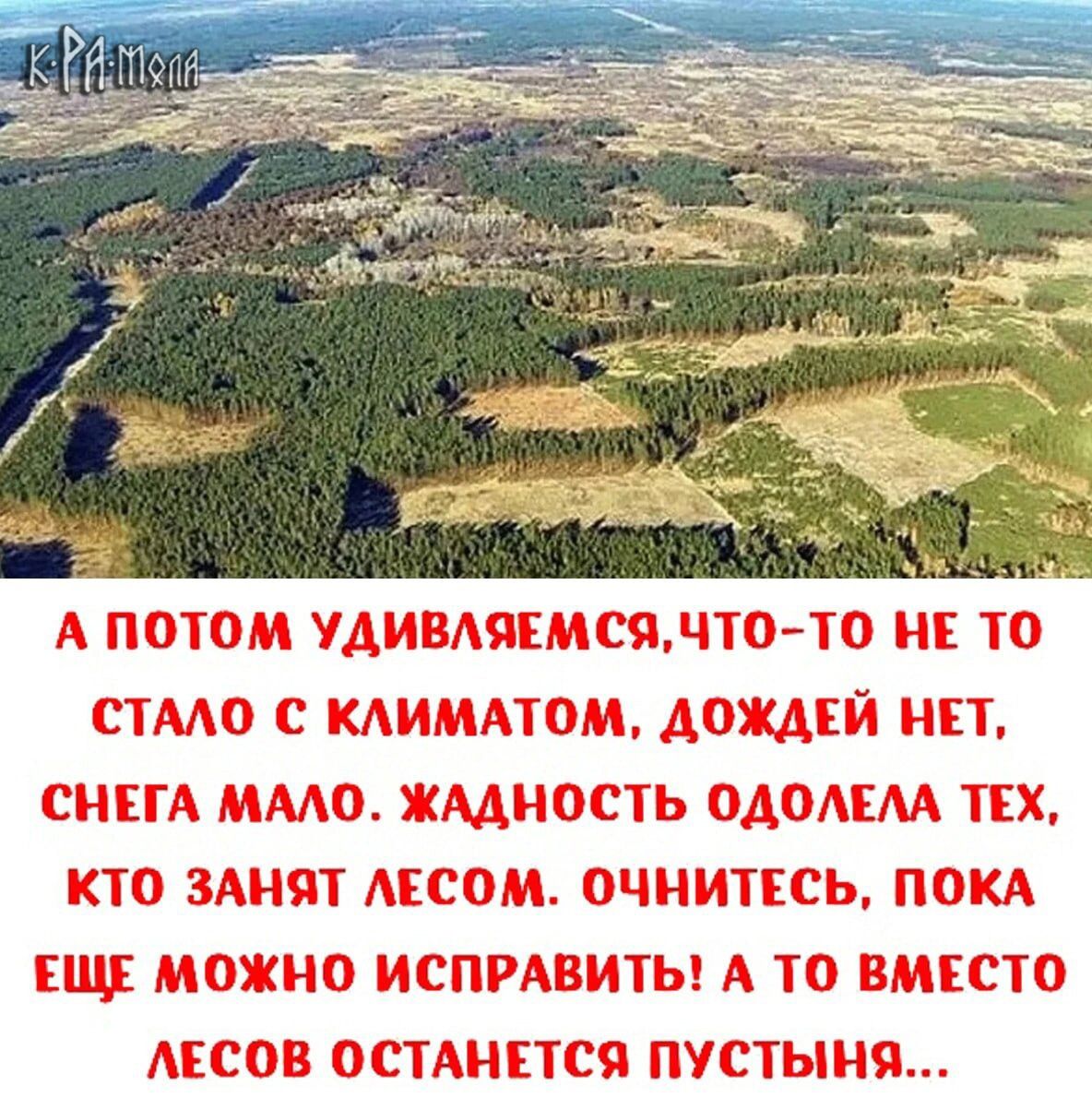 _ _ г __ _ц _ _ і _ _