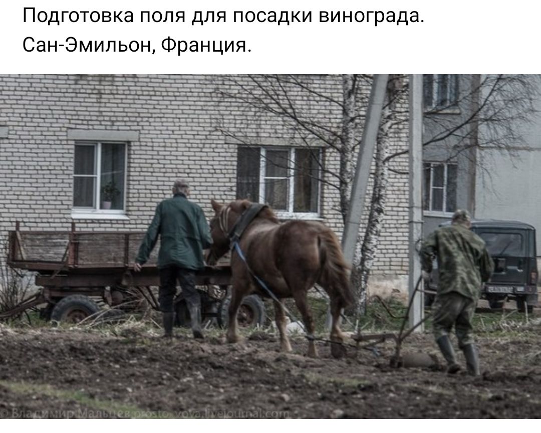 Подготовка поля для посадки винограда Сан Эмильон Франция