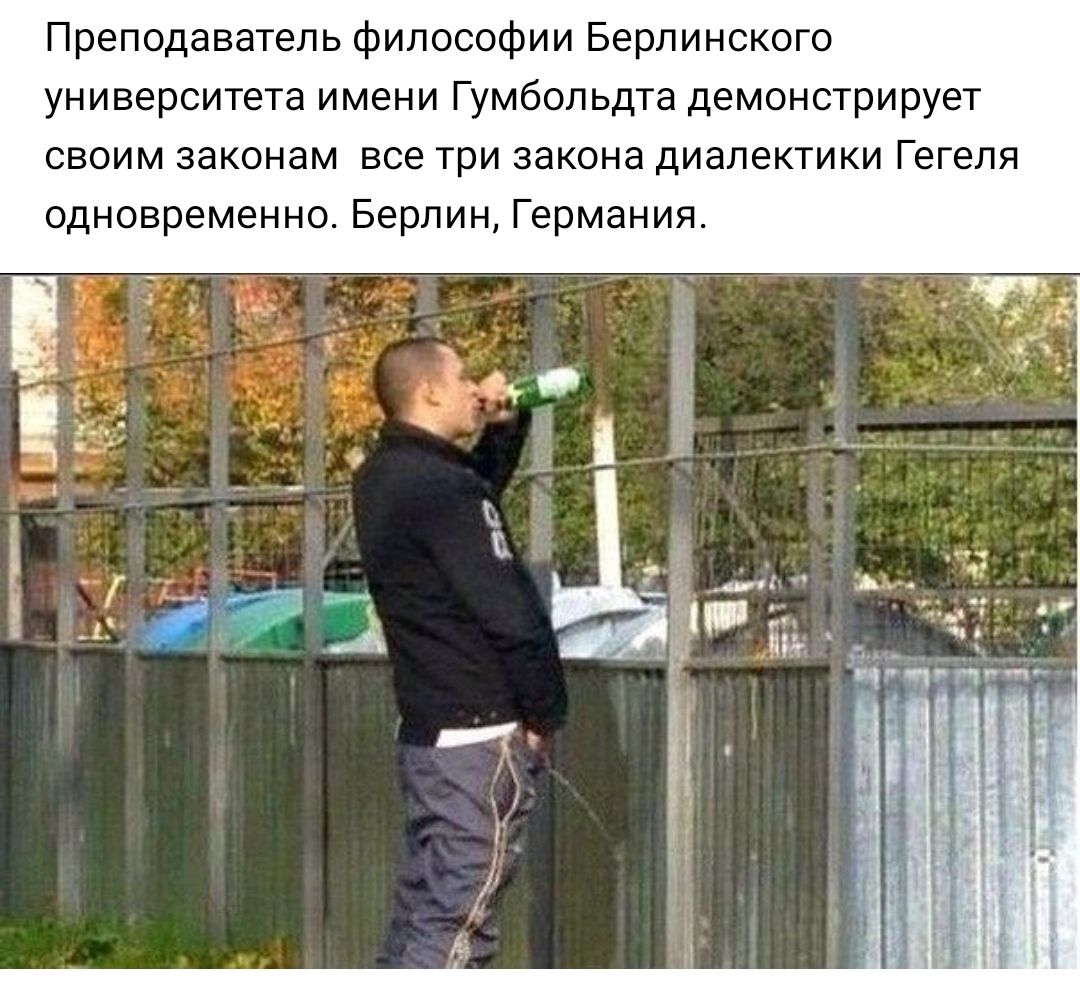 Преподаватель философии Берлинского университета имени Гумбольдта демонстрирует своим законам все три закона диалектики Гегеля одновременно Берлин Германия