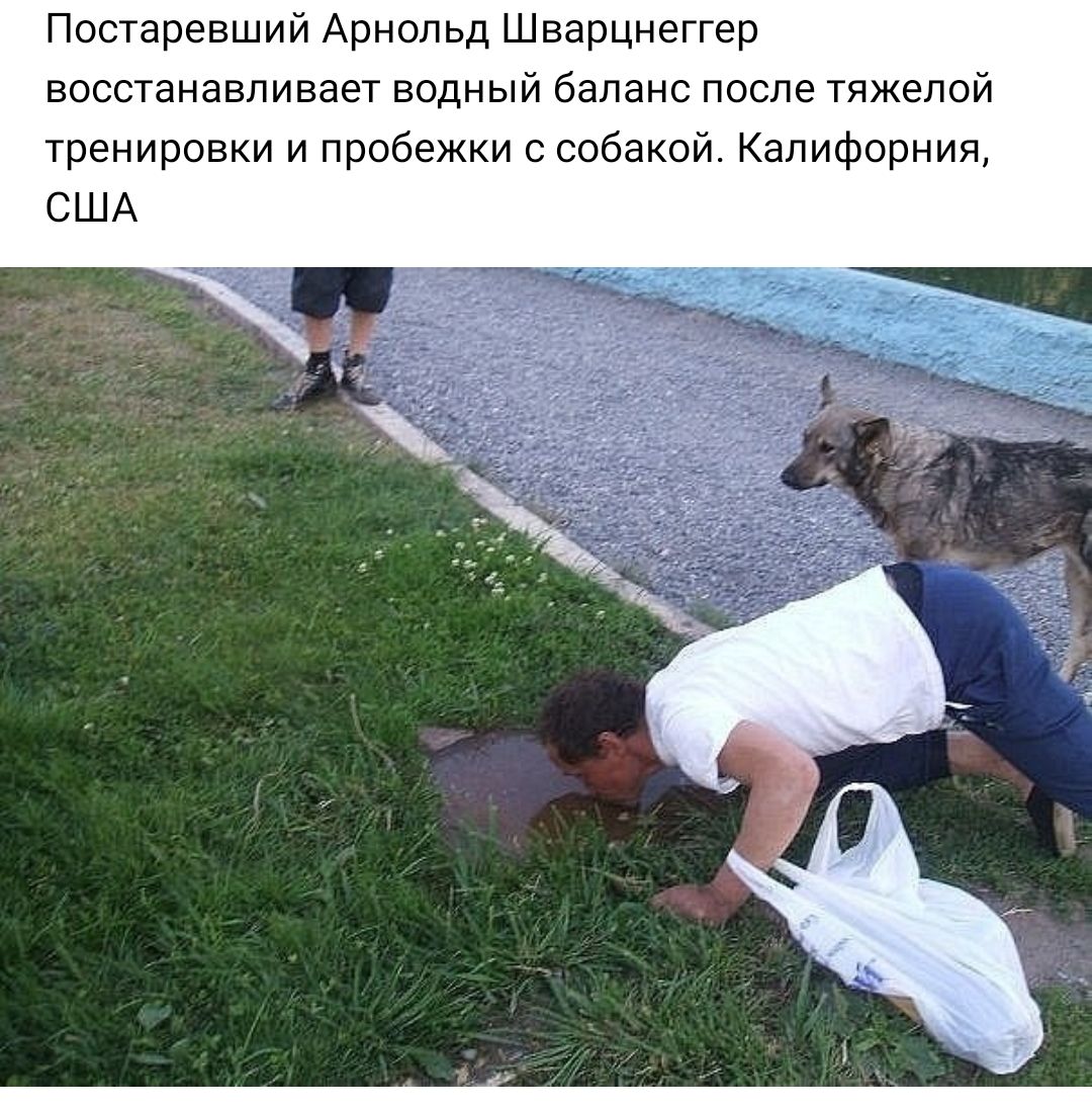 Постаревший Арнольд Шварцнеггер восстанавливает водный баланс после тяжелой тренировки и пробежки с собакой Калифорния