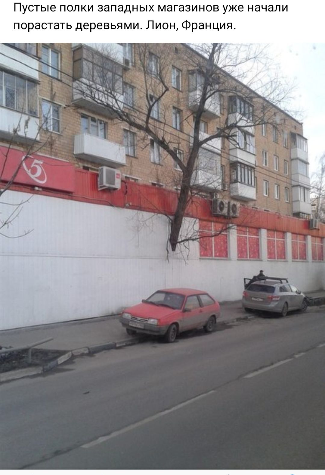 Пустые полки западных магазинов уже начали порастать деревьями Лион Франция