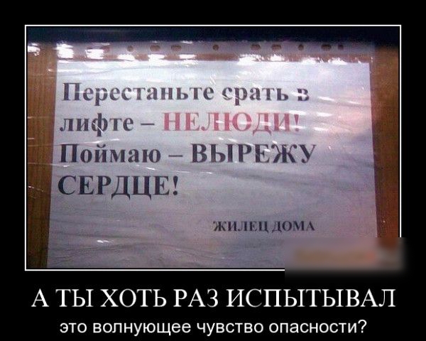 Ёічдх А 1 1 лпфнс Пойман вы ит СЕРДЦЕ ЖН СЦ ДОМ А ТЫ ХОТЬ РАЗ ИСПЫТЫВАЛ ЭТО волнующее ЧУВСТВО ОПЗСНОСТИ