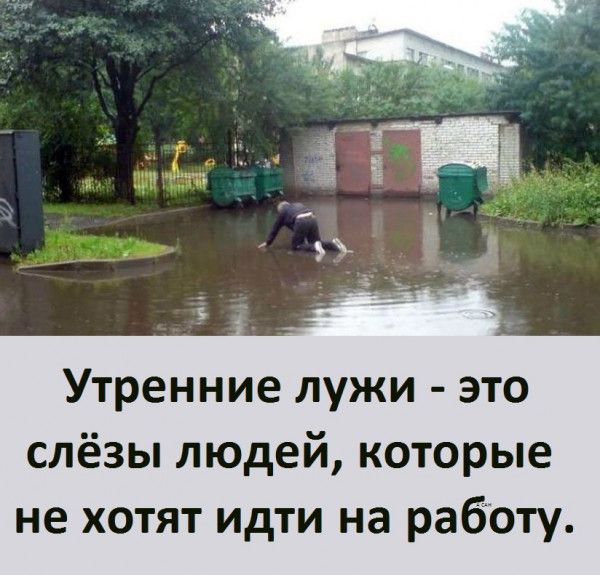 Утренние лужи это слёзы людей которые не хотят идти на работу