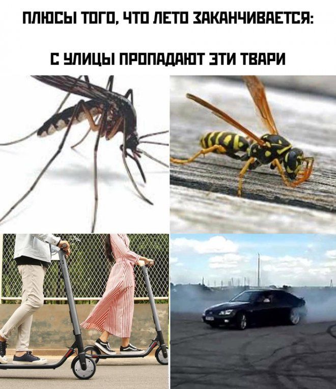 ПЛЮСЫ ТПГП ЧТП ПЕТП ПКПНЧИВПЕТЕП НЛИЦЫ ПРПППдЛі ПТ ЭТИ ТВПРИ