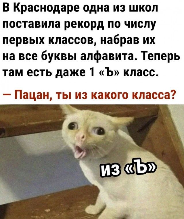 В Краснодаре одна из школ поставила рекорд по числу первых классов набрав их на все буквы алфавита Теперь там есть даже 1 Ъ класс Пацан ты из какого класса