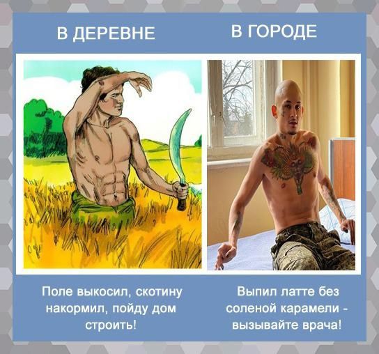 _ _ ВДЕРЕВНЕ вгородв _ Поле выкосип скотину Выпил пагге без накормил пойду дом соленой карвмепи строить вызывайте ара 45