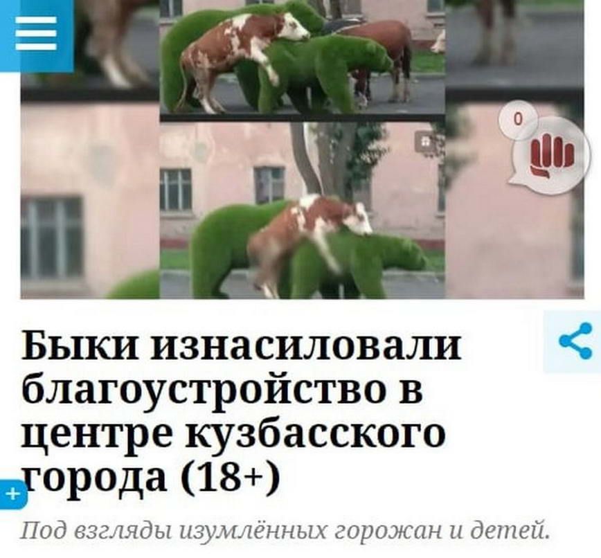 БЫКИ изнасиловали благоустройство в центре кузбасского іорода 18 Под взгляды изумлённых горожан и детей