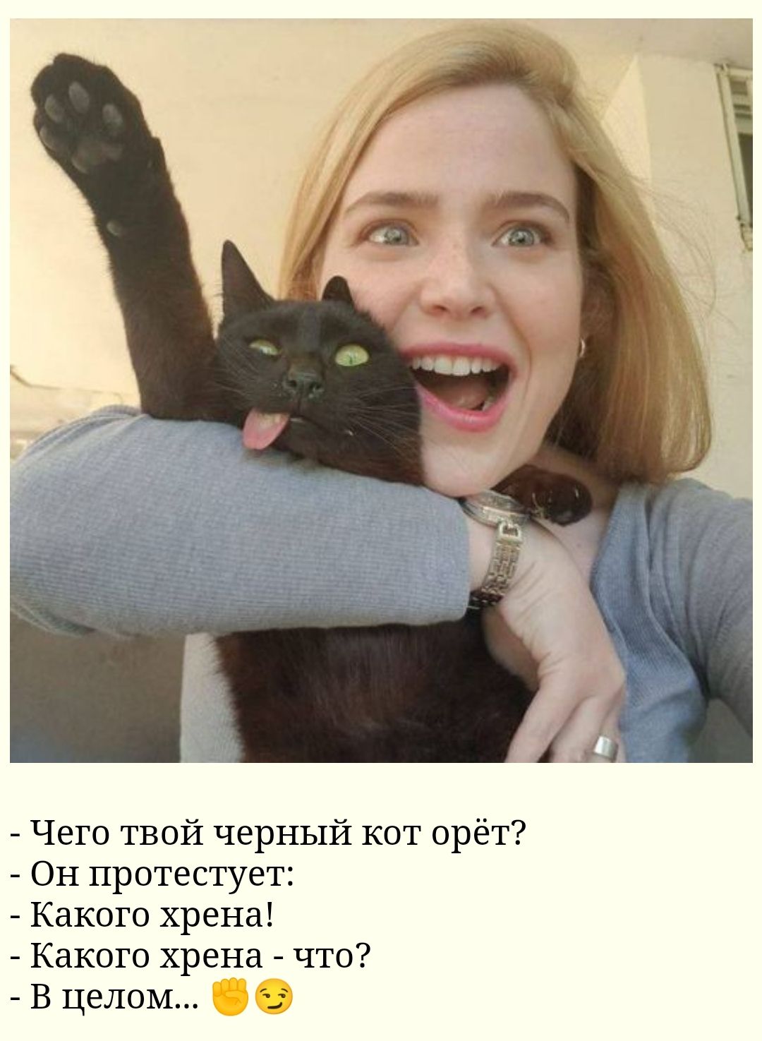 Чего твой черный кот орёт Он протестует Какого хрена Какого хрена что В целом