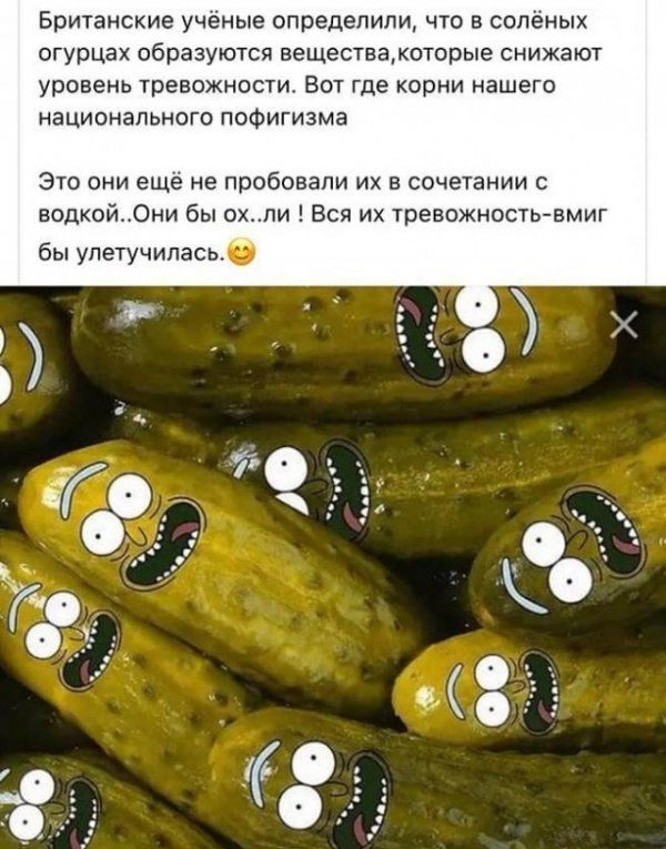 Британские ученые определили что в солёных огурцах образуются веществакоторье снижают уровень тревожности Вот где корни нашего национального пофигизма Это они еще не пробовали их в сочетании с водкой0ни бы охпи Вся их тревожностьвмиг бы упетучипась