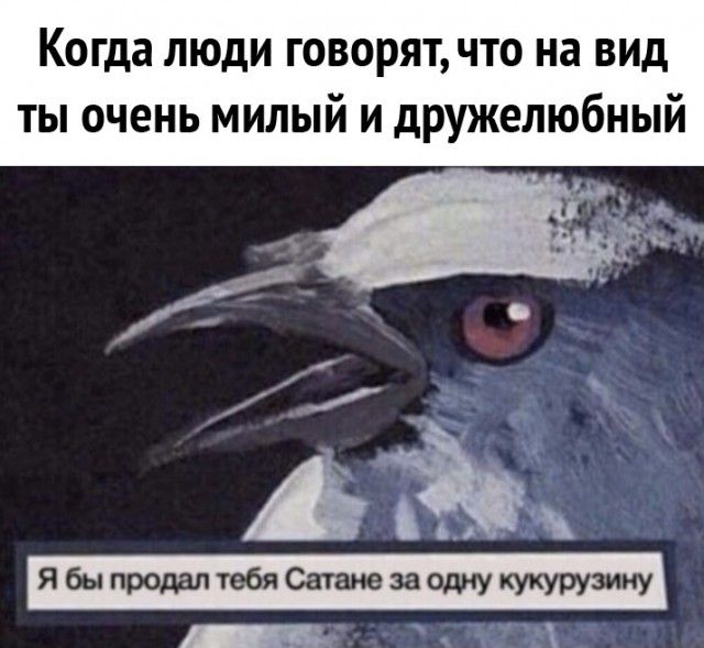 Когда люди говорятчто на вид ты очень милый и дружелюбный _ Айны ЯбыпродалтебяСатнезаодиукукурузину