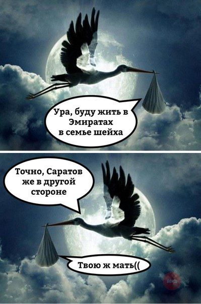 Ура буду жить в Эмиратах семье шейха