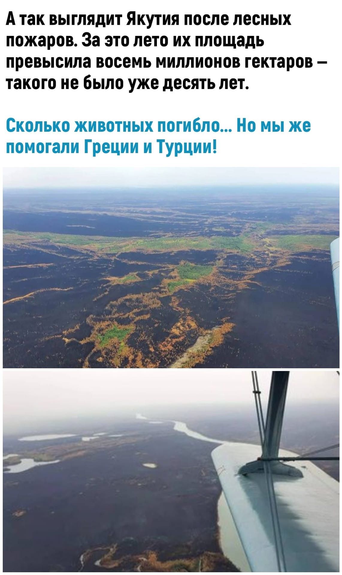 А так выглядит Якутия после лесных пожаров За это лето их площадь превысила восемь миллионов гектаров такого не было уже десять лет Сколько животных погибло Но мы же помогали Греции и Турции