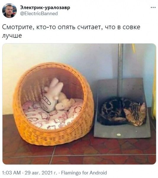Электик уралозанр Еіесшсваппеб Смотрите кто то опять считает что в совке лучше 103 АМ 29 авт2021тлПатіпёоіотАпёюіб