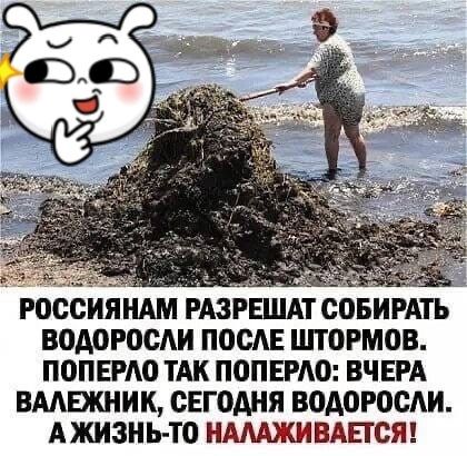 РОССИЯНАМ РАЗРЕШАТ СОБИРАТЬ ВОДОРОСАИ ПОСАЕ ШТОРМОВ ПОПЕРАО ТАК ПОПЕРАП ВЧЕРА ВААЕЖНИК СЕГОДНЯ ВОАОРОСАИ А ЖИЗНЬ ТО НААШБШ ВАПСЯ