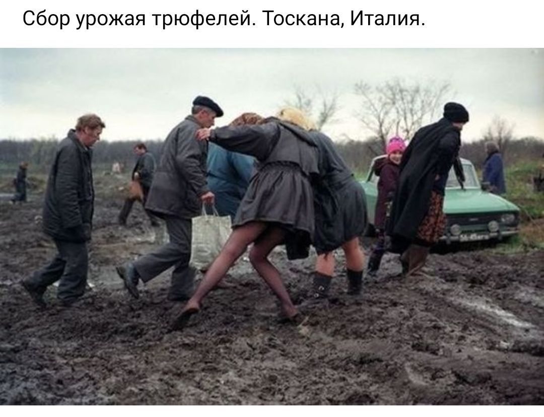 Сбор урожая трюфелей Тоскана Италия