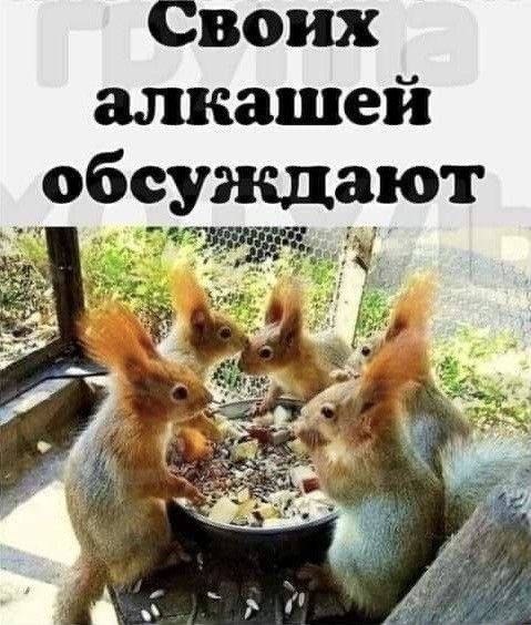 Своих алкашей обсуждают г
