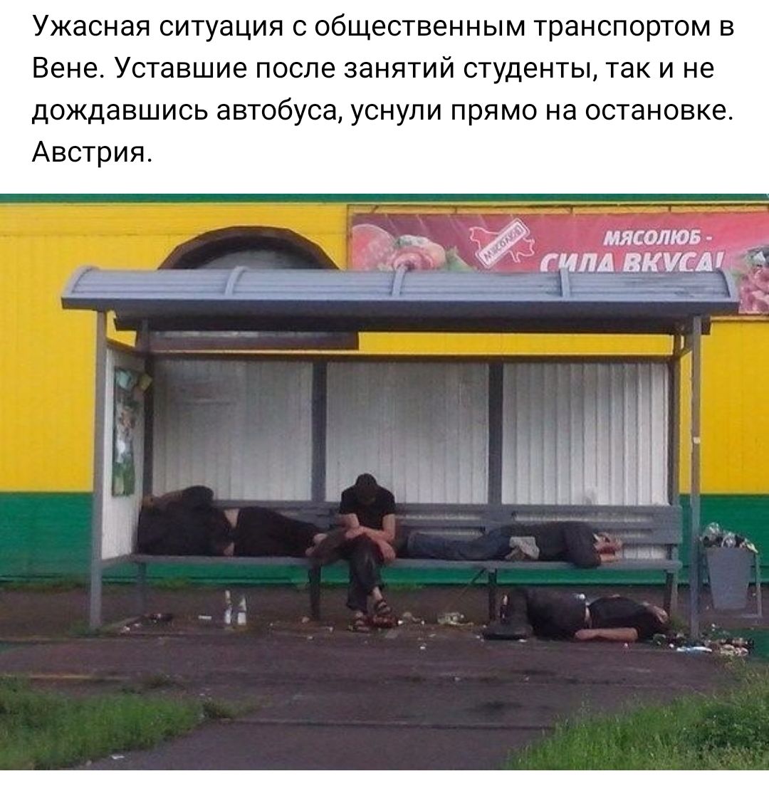 Ужасная ситуация с общественным транспортом в Вене Уставшие после занятий студенты так и не дождавшись автобуса уснули прямо на остановке Австрия а