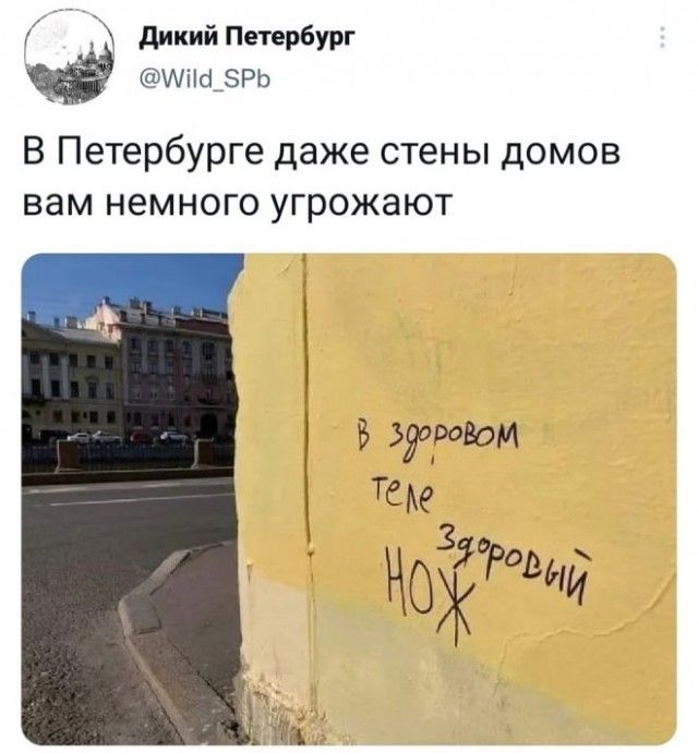 Г дикий Петербург шпфзрь В Петербурге даже стены домов вам немного угрожают