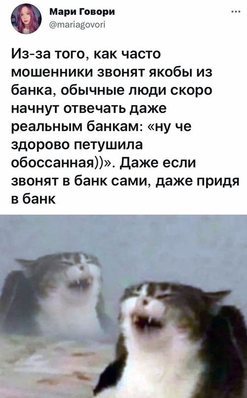 Звонят якобы