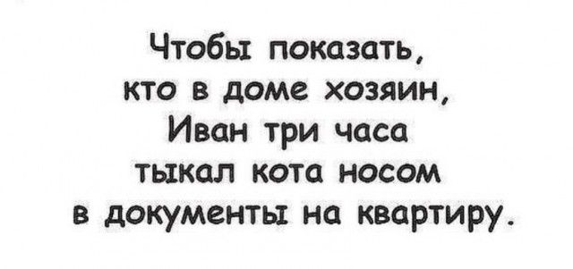 Чтобы показать кто в доме хозяин Иван три часа тыкал кота носом в документы на квартиру