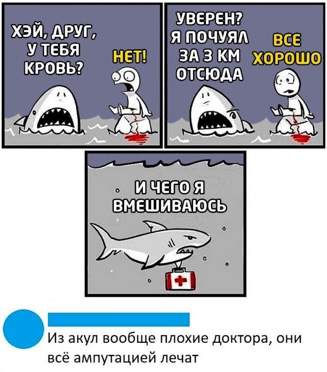УВЕРЕН хэи друг я почуяд У ТЕБЯ ЗА 3 КМ КРОВЬ ОТСЮДА _ Из акул вообще плохие доктора они всё ампутацией лечат