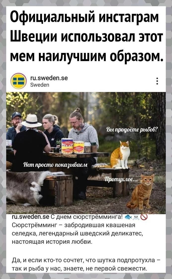 э Официальный инстаграм Швеции использовал этот мем наилучшим образом гизшейепзе Зщейеп зе днем сюрстемминга 0 Сюрстремминг забродившая квашеная сепедка легендарный шведский деликатес настоящая история любви Да И если КТОТО СОЧТЭТ ЧТО ШУТКЭ ПОдПрОТуХЛЭ _ так И рыба у нас знаете не первой свежести