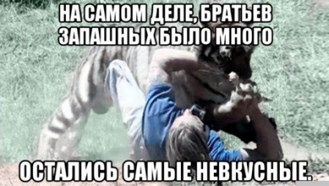Плисв самые невкусные