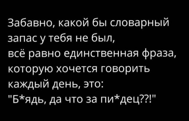 Забавно какой бы словарный запас у тебя не был всё равно единственная фраза которую хочется говорить каждый день это Бядь да что за пидец