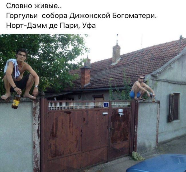 Словно живые Горгульи собора Дижонской Богоматери Норт Дамм де Пари Уфа