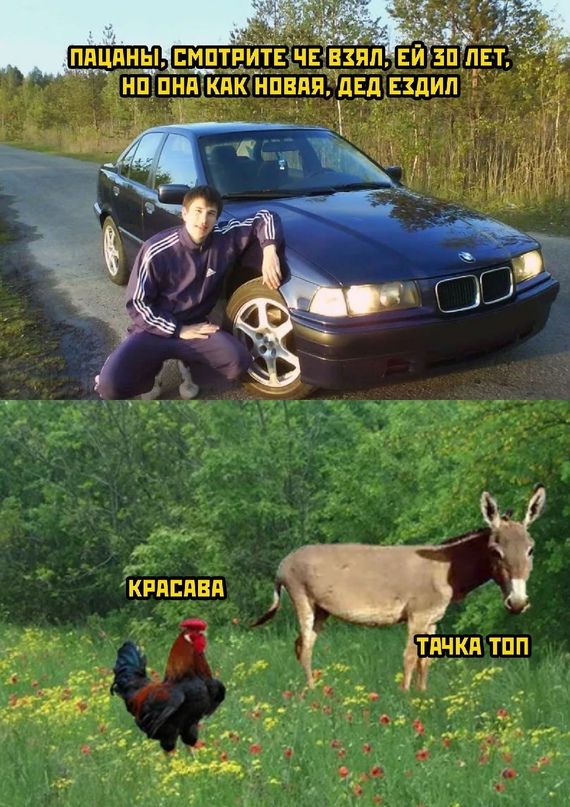 ЁКРПЕПВП