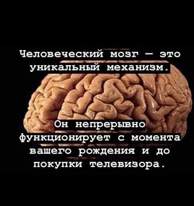 Человеческий4й65г это ___ уникальныи мехах тиви н непрерывно функционирует с момента ___ вашего_ рождения и до ПОКУПКИ телевизора