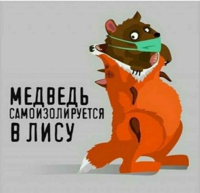 медведь САМПИЗПЛИРУЕТСЯ нлису