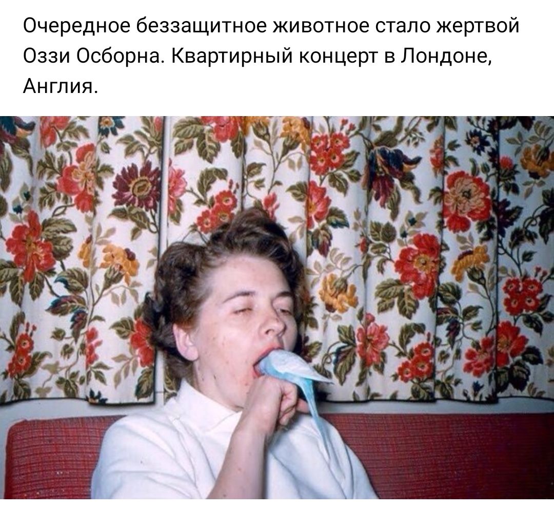 Очередное беззащитное животное стало жертвой Оззи Осборна Квартирный концерт в Лондоне Англия