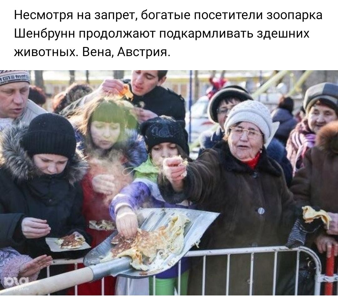 Несмотря на запрет богатые посетители зоопарка Шенбрунн продолжают подкармливать здешних животных Вена Австрия