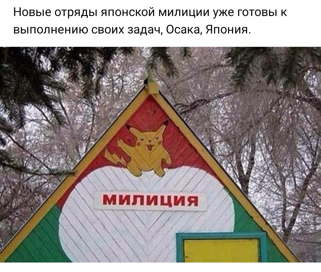Новые отряды японской милиции уже готовы к выполнению своих задач Осака Япония