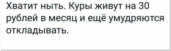 Хватит ныть Куры живут на 30 рублей в месяц и ещё умудряются откладывать