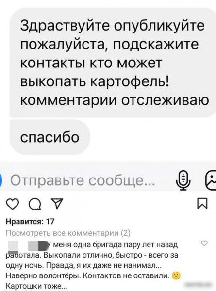 Здраствуйте опубликуйте пожалуйста подскажите контакты кто может выкопать картофель комментарии отслеживаю спасибо Отправьте сообще О О И Нравится 7 т меня одна бригаде пару лет назад мешала Выкопапи отлично быстрт всего за одну ночь Правдая их даже не нанимал Наверно волонтеры Конт актов не оставили Картошки тоже