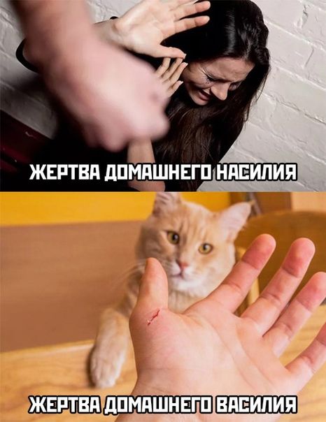 ШЫАШЁШЁЕ 11