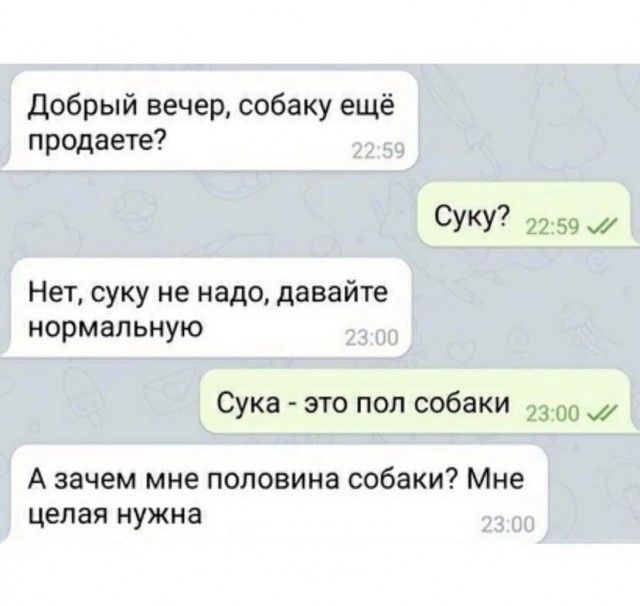 Добрый вечер собаку ещё продаете СУКУ7 22 59 Нет суку не надо давайте нормальную Сука это поп собаки 23 00 А зачем мне половина собаки Мне целая нужна