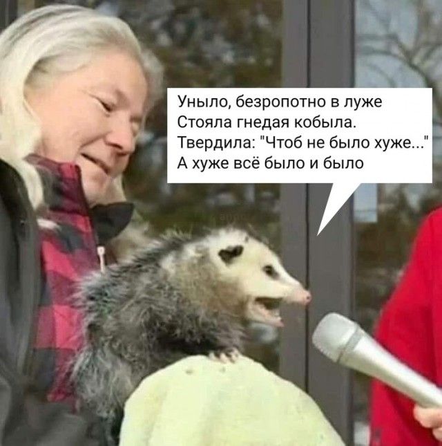 Уныло безропотно в луже Стояла гнедая кобыла Твердипа Чтоб не было хуже А хуже всё было и было