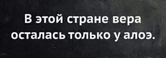 В этой стране вера осталась только у алоэ