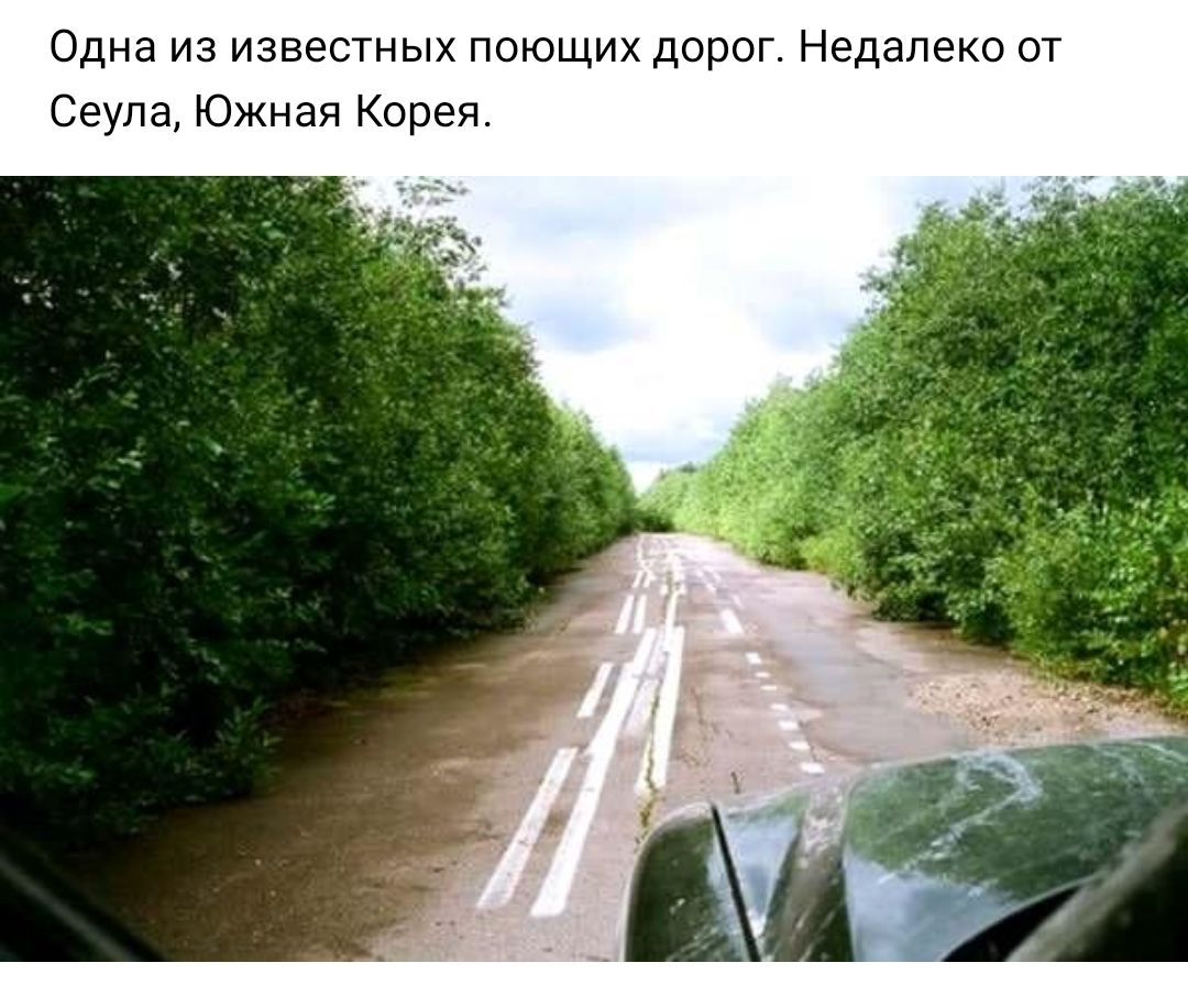 Одна из известных поющих дорог Недалеко от Сеула Южная Корея