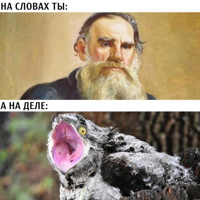 НА СЛОВАХ ТЫ А НА ДЕЛЕ