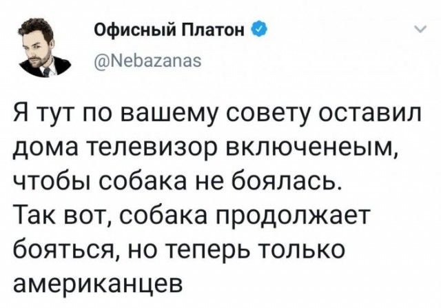 Офисный Платон ЫеЬахапаэ Я тут по вашему совету оставил дома телевизор включенеым чтобы собака не боялась Так вот собака продолжает бояться но теперь только американцев