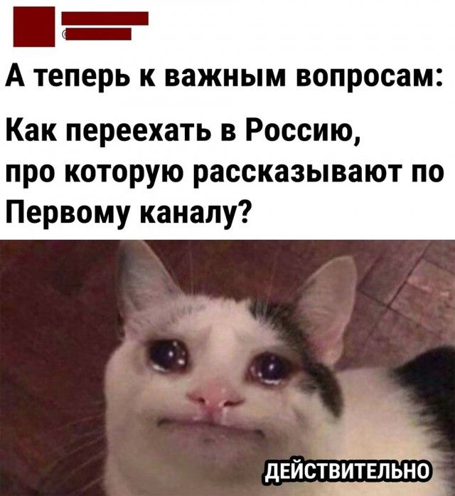 А Теперь К важным вопросам Как переехать в Россию про которую рассказывают по Первому каналу та ЕЙСТВИТЁЛЬНО д