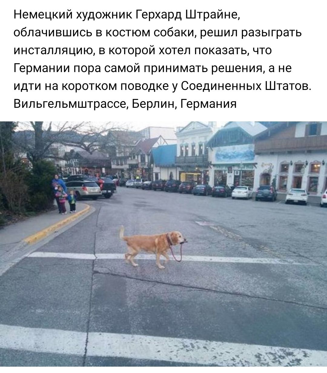 Немецкий художник Герхард Штрайне облачившись в костюм собаки решил разыграть инсталляцию в которой хотел показать что Германии пора самой принимать решения а не идти на коротком поводке у Соединенных Штатов Вильгельмштрассе Берлин Германия