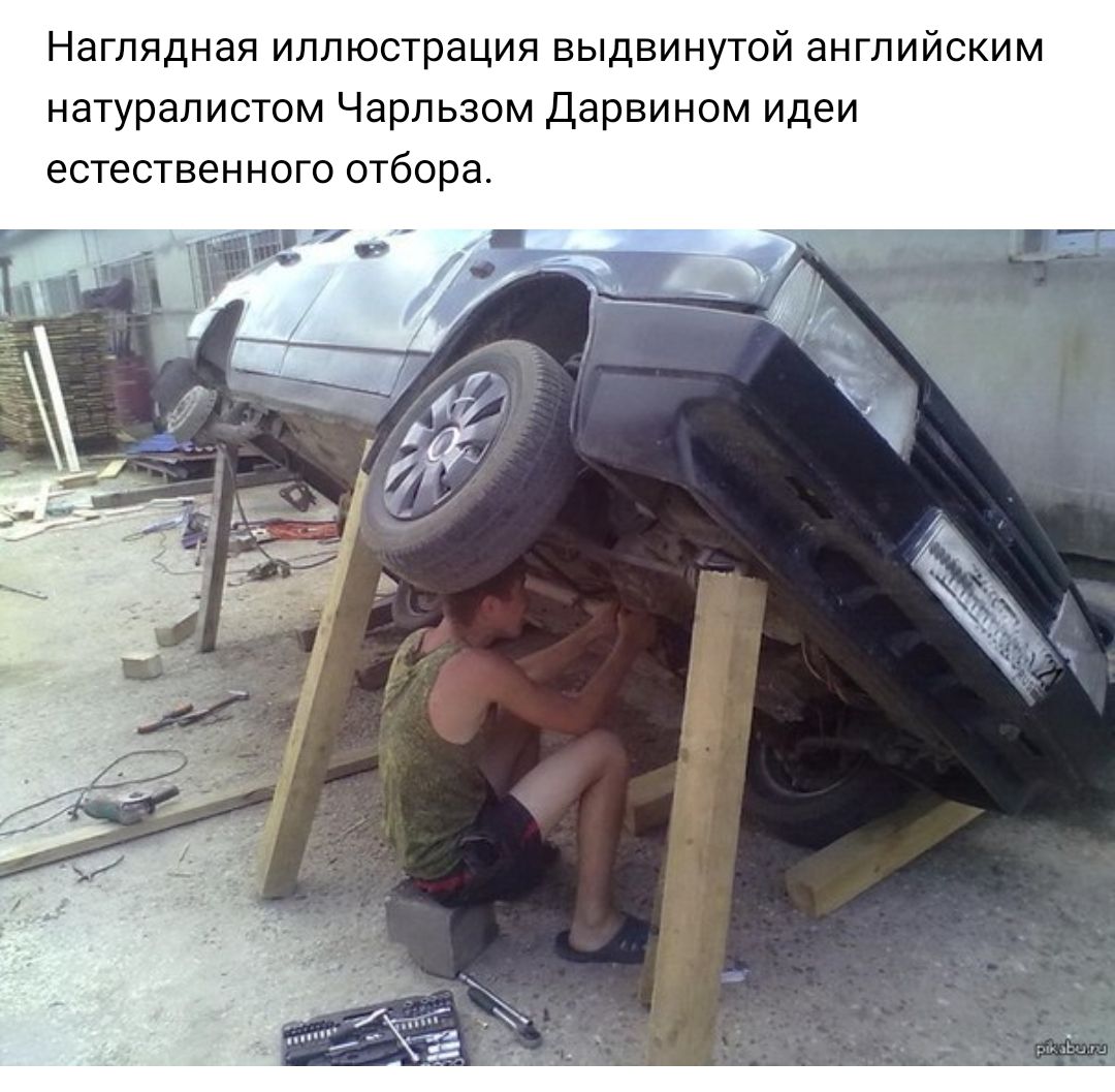 Наглядная иллюстрация выдвинутой английским натуралистом Чарльзом Дарвином идеи естественного отбора