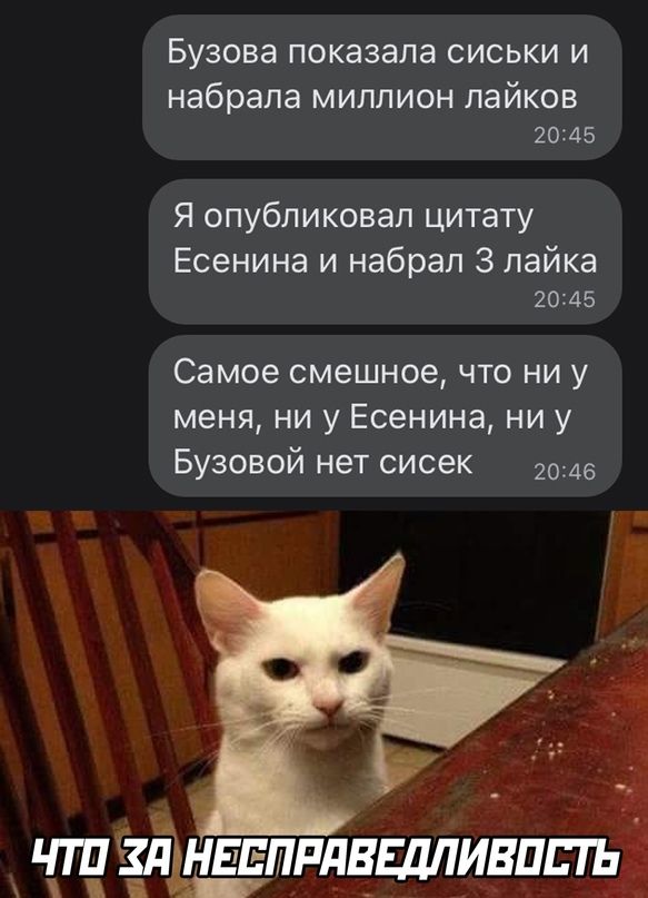 БУЗОВЗ ПОКЗЗЗЛЗ СИСЬКИ И набрала миллион лайков 2045 Я опубликовал цитату Есенина и набрал 3 лайка 2045 Самое смешное что ни у меня ни у Есенина ни у Бузовой нет сисек 2046 А чтп ЁЁ нввлпддшливпщё