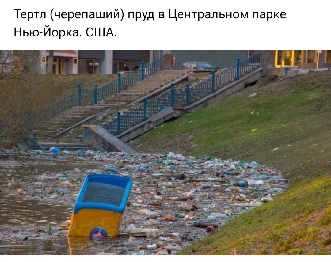 Тертл черепаший пруд в Центральном парке Нью Йорка США