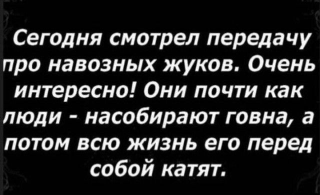 Сегодня смотрел передачу про навозных жуков Очень интересно Они почти как люди насобирают говна а потом всю жизнь его перед собой катят